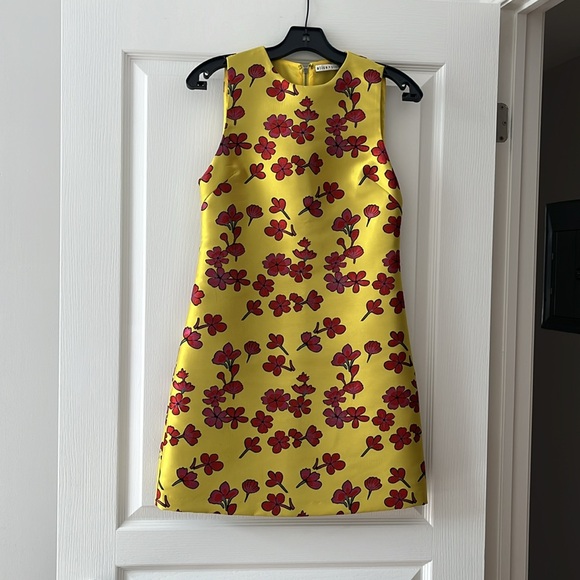 Spring Dresses - Alice and Olivia- $40 per dress - Picture 3 of 3